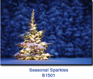 Seasonal Sparkles charity holicay card supporting Brightside for Families & Children