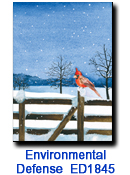 Feathered Friend charity holiday card supporting Environmental Defense Fund