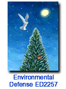 Snowy Owl charity holiday card supporting Environmental Defense Fund