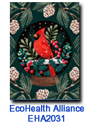 Cardinal and cones charity holiday card supporting  EcoHealth Alliance