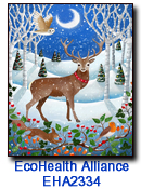 Winter Stag card supporting EcoHealth Alliance