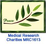 Peace Frond charity holiday card supporting Medical Research Charities