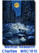 MRC1815 Snowy Stream charity Holiday Card
