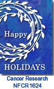 NFCR1624 Happy Holidays Christmas Card