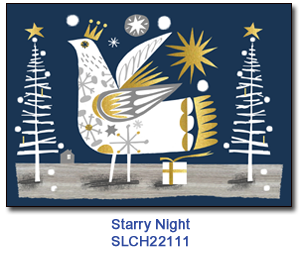 Starry Night charity Christmas Card supporting St. Louis Children's Hospital